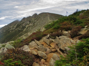 View from treeline, looking up toward Pamola Peak and the Knife Edge
