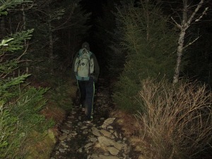 Heading back down the Alum Cave Trail