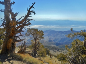 Looking down into Badwater Basin from the slopes of Telescope Peak